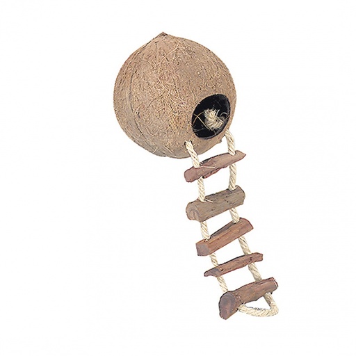 [BR_201429] COCONUT GLOBEHOUSE MET LADDER MET KOOI 130MM