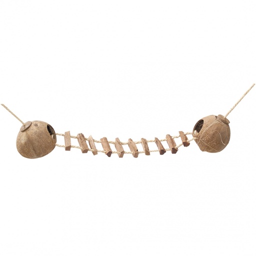 [BR_201430] COCONUT GLOBEHOUSE MET LADDER MET TOUW 2x130MM