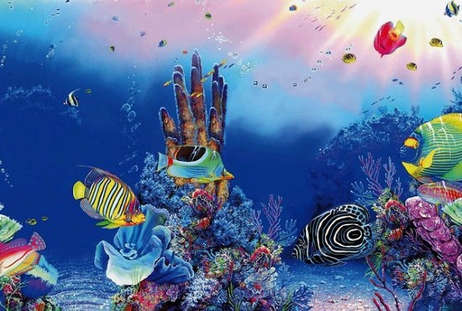 [BR_201596] SF Deco poster F4 120x49
