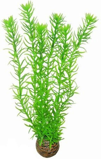 [BR_201699] SF easy plant hoog 30 cm nr. 1