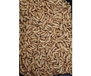 [18-103] Zakje Black soldier Fly 100gr