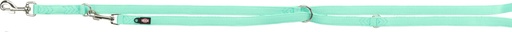 [BR_201997] Premium verstelbare riem, tweelaags, M–L: 2,00 m/20 mm, mintgroen