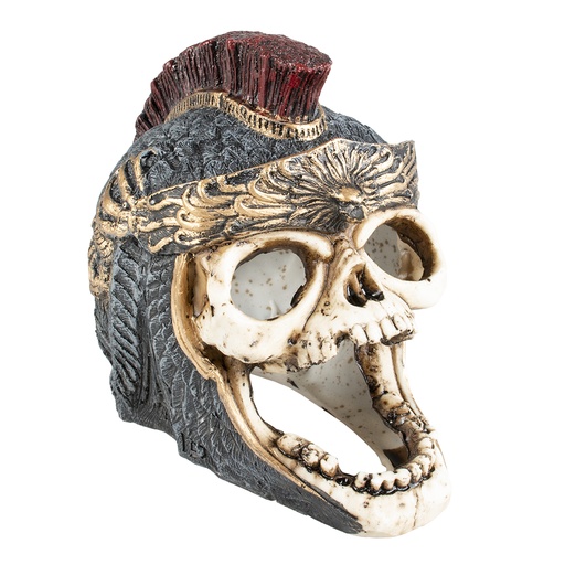 [BR_202752] ROMEINS DOODSHOOFD L L - 18,2x11,7x15cm