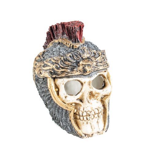 [BR_202753] ROMEINS DOODSHOOFD S S - 11x7,3x9,5cm