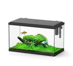 [BR_202878] # Aquarium explorer 60 led zwart