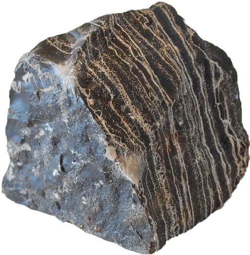 [BR_203185] Aquarium steen leopard stone S.