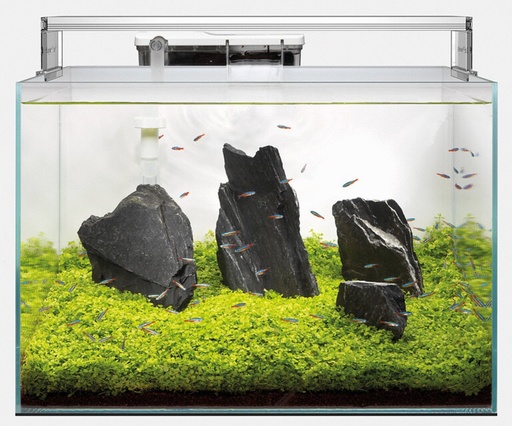 [BR_203190] [*]SUPERFISH SCAPER 60