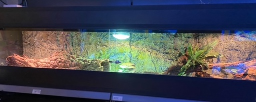 [BR_203267] # Terrarium + inrichting 200Bx50Hx50D cm