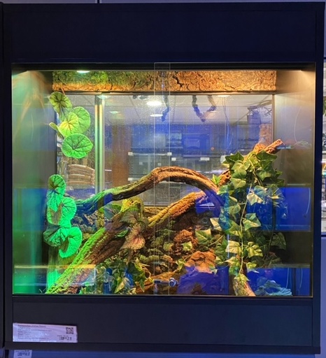 [BR_203269] # Terrarium + inrichting 100Bx110Hx50