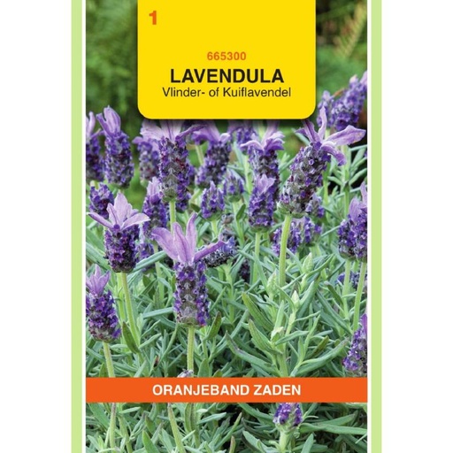 [665300] OBZ Lavendel, Vlinder- of Kuiflavendel