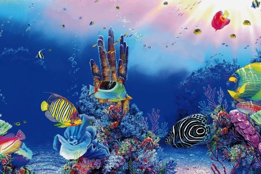 [BR_203990] SF Deco poster F2 60x49