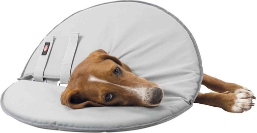 [19424] Beschermkraag, polyester/schuimstof, M: 38–42 cm/21,5 cm, grijs