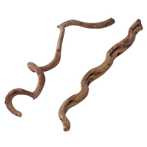 [BR_204226] # Terra Della lianen S/M 75 cm
