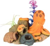 [BR_205277] AD LETO OCTOPUS + KRUIKEN 16X13X10C