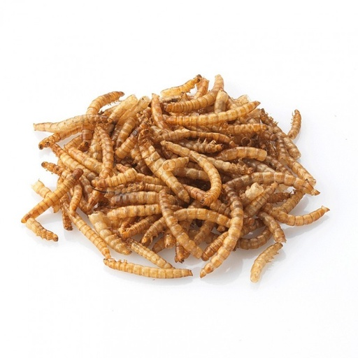 [205371              ] Meelworm gedroogd 70gr