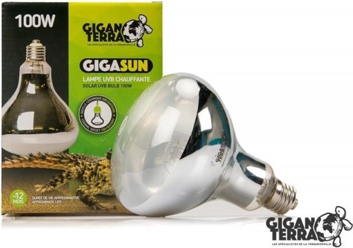 [G04-00077 ] Giganterra Gigasun Compact 100watt