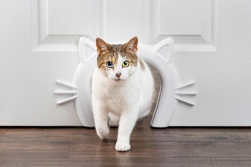 [BR_205863] Staywell cat corridor