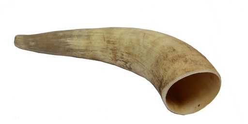 [16524] Cattle horn Medium