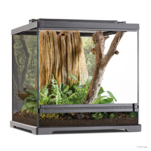 [BR_213507] # EX frog pijlgifkikker terrarium 45,7x45x45cm