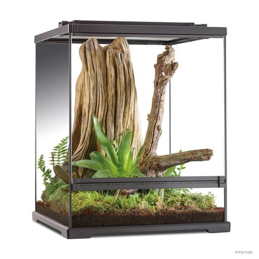 [BR_213508] # EX frog boomkikker terrarium 60x45x45cm
