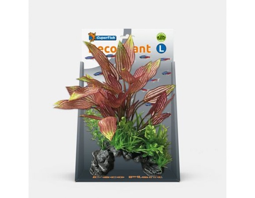 [A4070535] DECO PLANT L HENKELIANUS