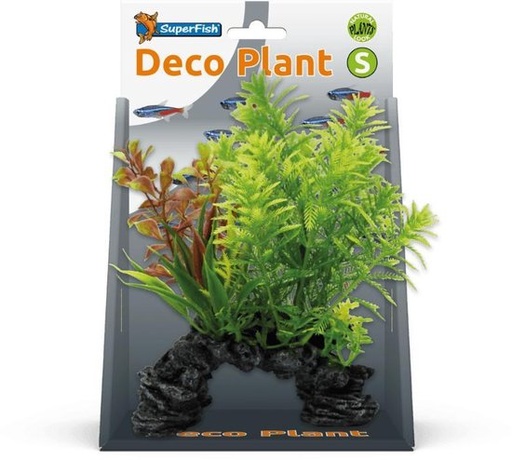 [BR_213621] DECO PLANT S HOTTONIA