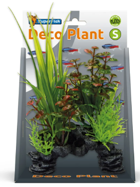 [A4070520] DECO PLANT S ROTALA