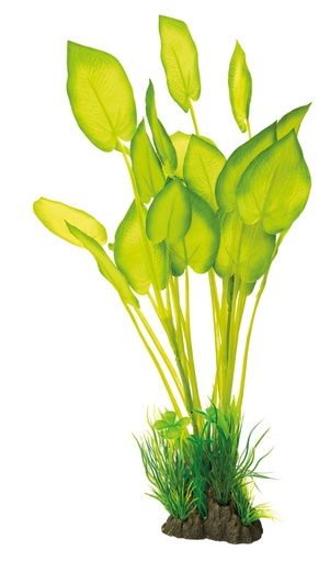 [BR_213628] SF ART PLANT 40CM ECHINODORUS