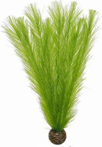 [BR_213636] EASY PLANT MIDDLE 20 CM NR. 11
