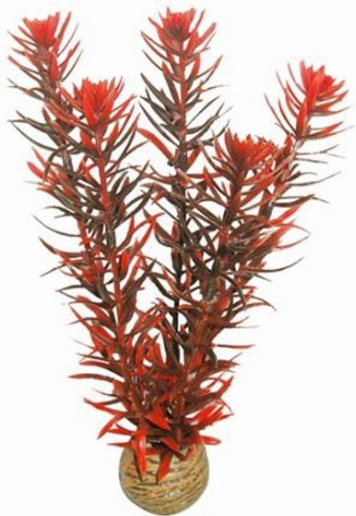 [A4070245] EASY PLANT MIDDLE 20 CM NR. 7