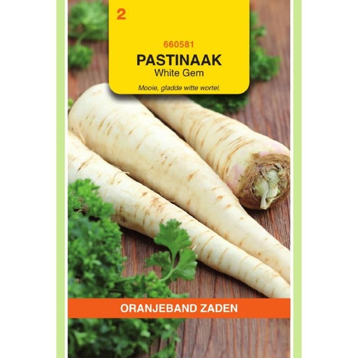 [660581              ] OBZ Pastinaak White Gem