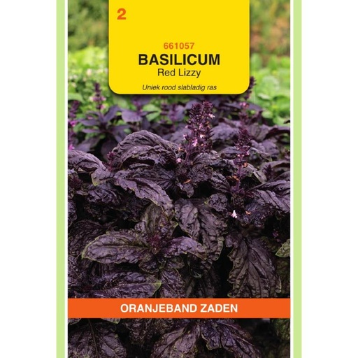 [661057              ] OBZ Basilicum Rode slabladige Red Lizzy