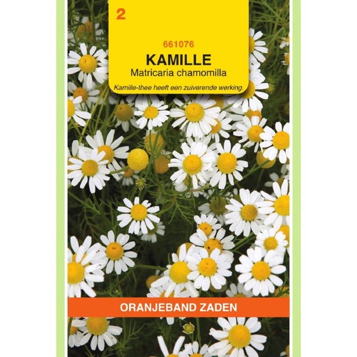 [BR_215395] OBZ Kamille