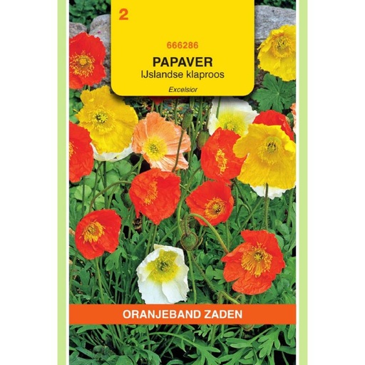 [666286] OBZ Papaver, IJslandse Klaproos gemengd