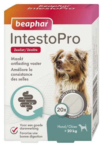 [8711231141272] Diarree Remmer 20 tabl grote hond >20 kg darmstoornis