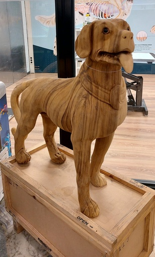 [BR_215758] # Beeld Teak hond staand handgemaakt