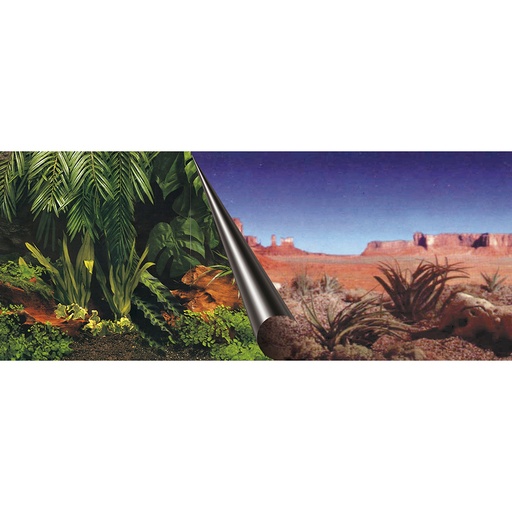 [BR_216057] POSTER ACHTERWAND JUNGLE & DESSERT 80x40cm