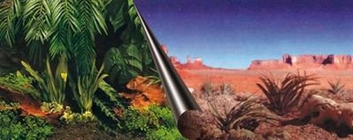 [BR_216058] POSTER ACHTERWAND JUNGLE & DESSERT 120x50cm