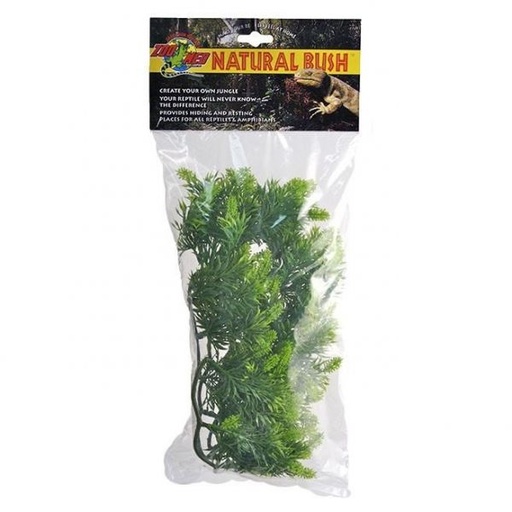 [BR_216169] Medium Malaysian Fern