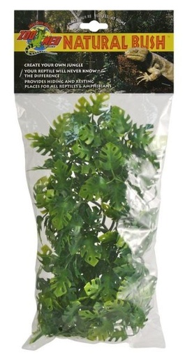 [BR_216175] Large Amazonian Phyllo