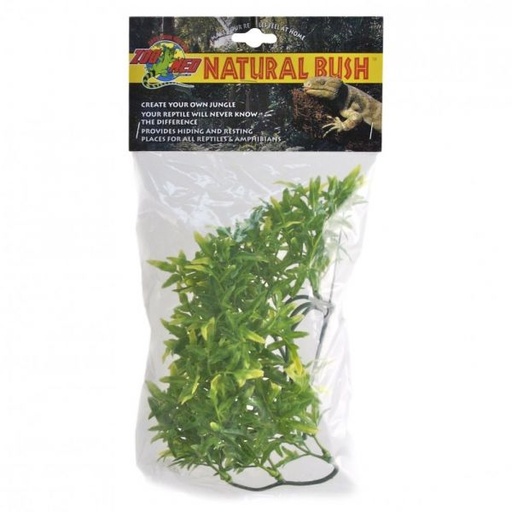 [BR_216179] Large Bolivian Croton