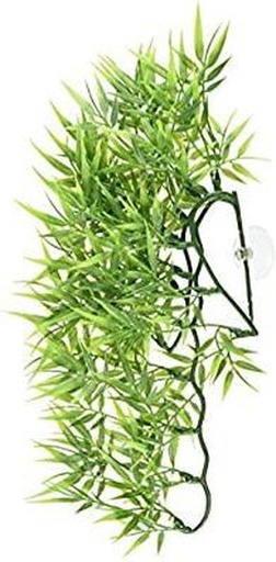 [BR_216182] Large Madagascar Bamboo