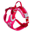 [BR_216254] HARNESS W.WAR. RUBY 45-60 CM 934111