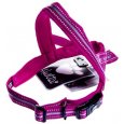 [BR_216256] HARNESS W.WAR.RUBY 80-100 CM 934113