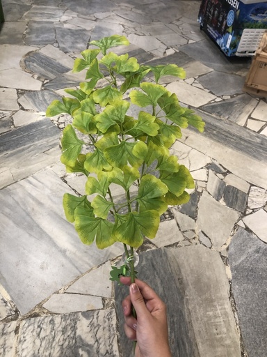 [BR_216566] Hangende plant Ginko 63x36x5cm groen