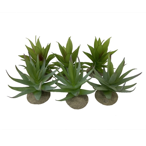 [BR_217131] Aloe 12x11x11,5cm gemengde kleuren