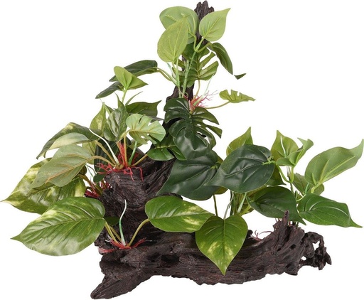 [BR_217357] # AD TROPICA TAK+PLANT 49x35x38CM