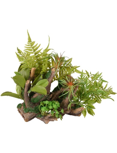 [BR_217361] # AD DIO WORTELS+PLANT 36x31x33CM