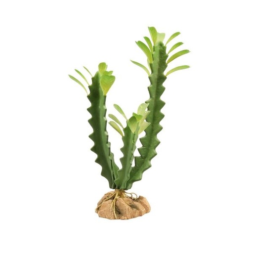[BR_223966] Zoo Med Euphorbia