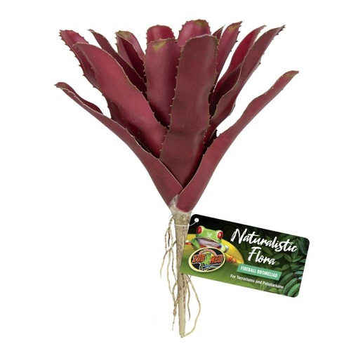 [BR_223975] Zoo Med Fireball Bromeliad